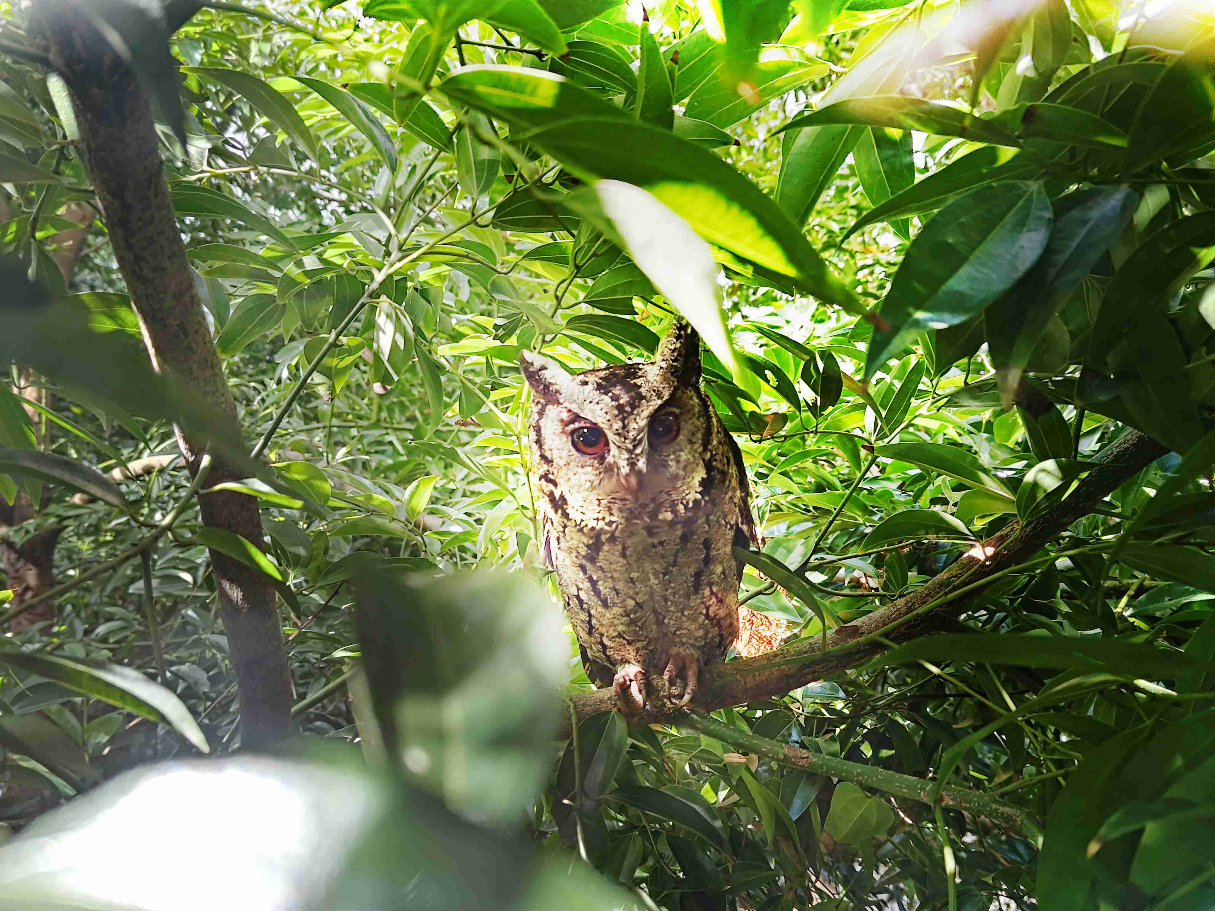 z6mg·人生就是博致力提倡净零绿生活，，，，16年以来在全球各厂区植树逾百万棵，，，造就各厂区树木蔚然成林，，，犹如森林工厂，，，，成为许多生物的栖息地